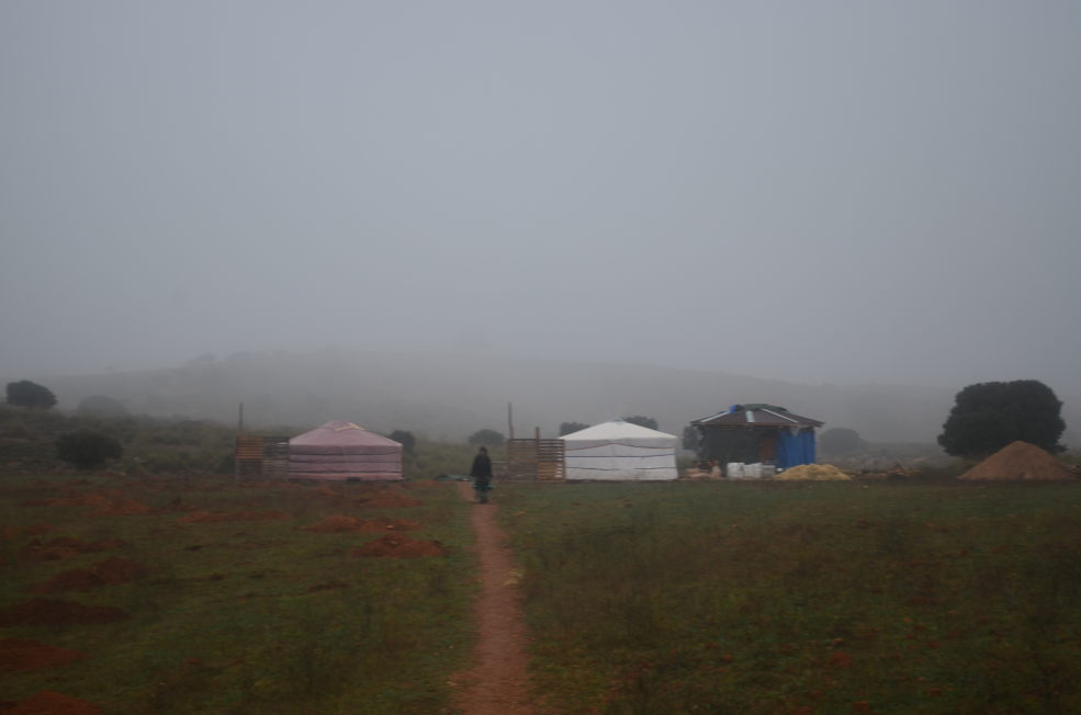 A misty morning at Camp Altiplano, October 2018